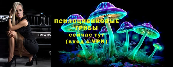 а пвп мука Абаза