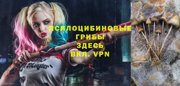2c-b Алзамай