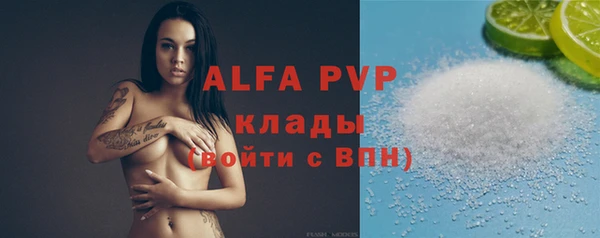 стафф Алексин