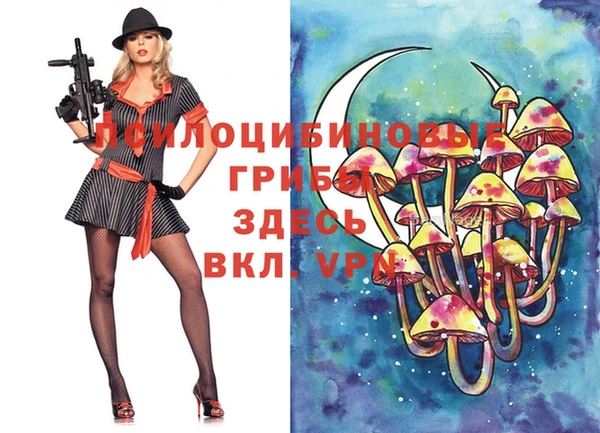2c-b Алзамай