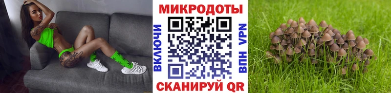 kraken ONION Инсар Галлюциногенные грибы Psilocybine cubensis